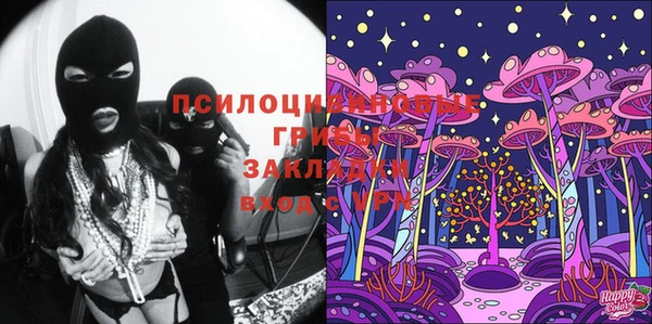 ECSTASY Инсар