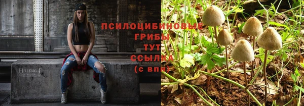 не бодяженный Инта