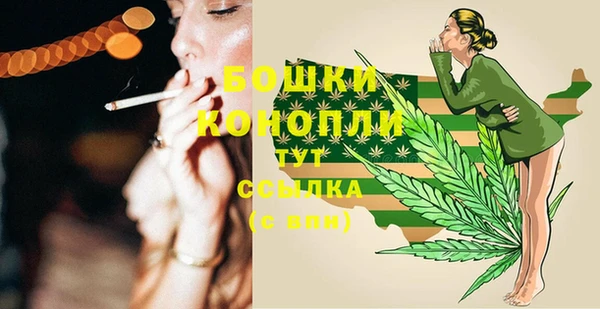 ECSTASY Инсар
