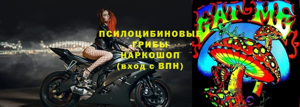 ECSTASY Инсар