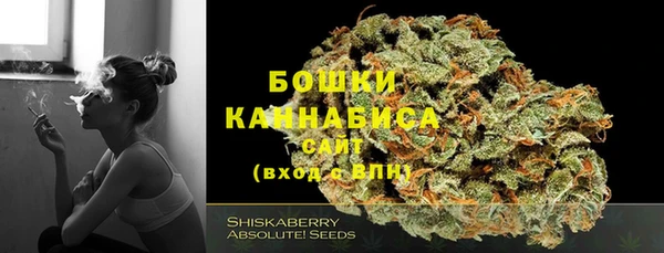 ECSTASY Инсар