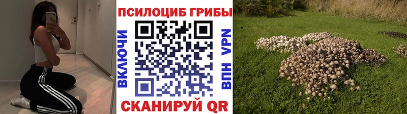 Галлюциногенные грибы Magic Shrooms  Купить закладки  Усть-Джегута 